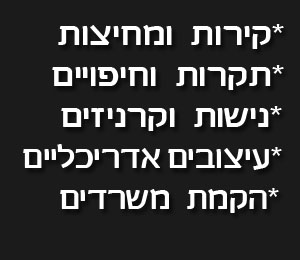 ניצב קירות גבס